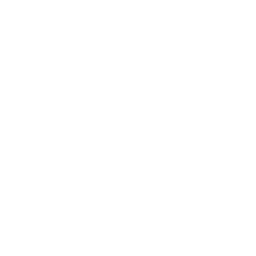 Disciplined Long-Term Strategy